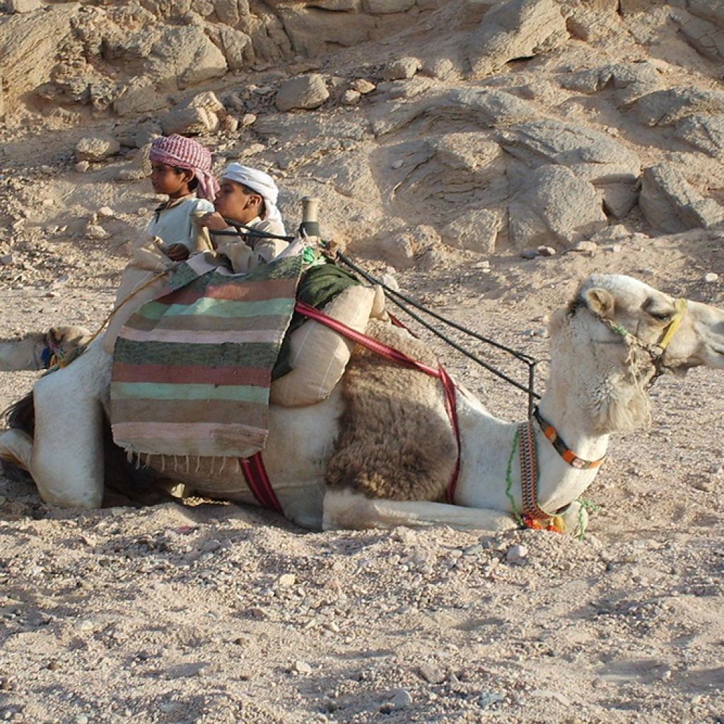 Snorkeling near coral reefs in Hurghada Red Sea