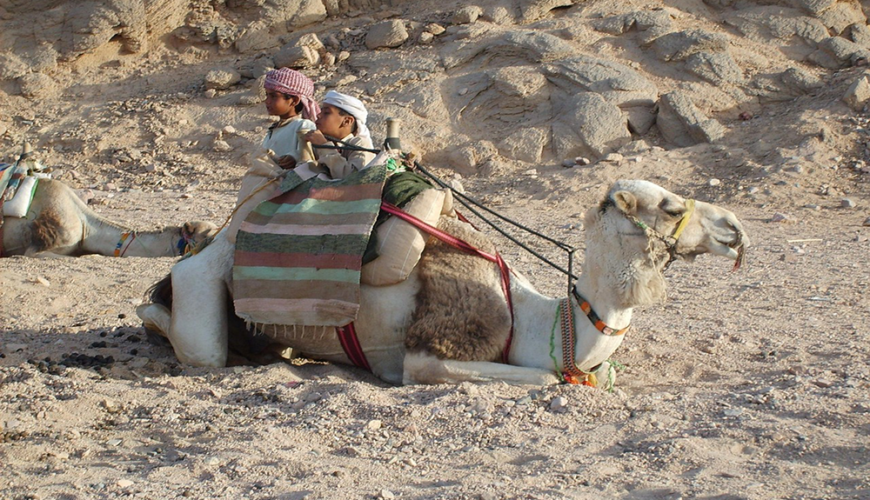 Snorkeling near coral reefs in Hurghada Red Sea