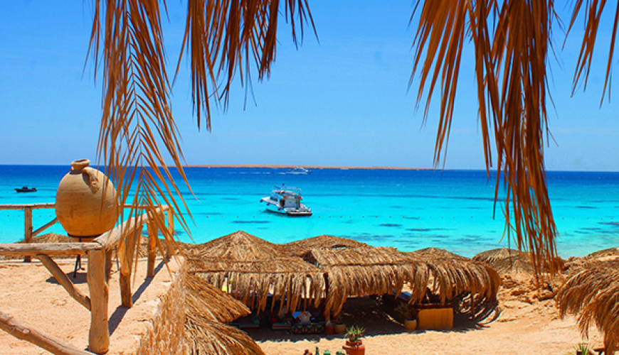 orange bay vs paradise island