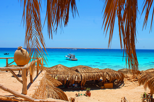 orange bay vs paradise island