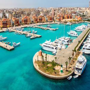 seafood dinner with ocean view